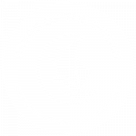 Ocean wings 1